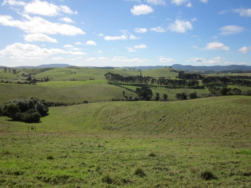 500 Rocky Creek Road, Dorrigo NSW 2453