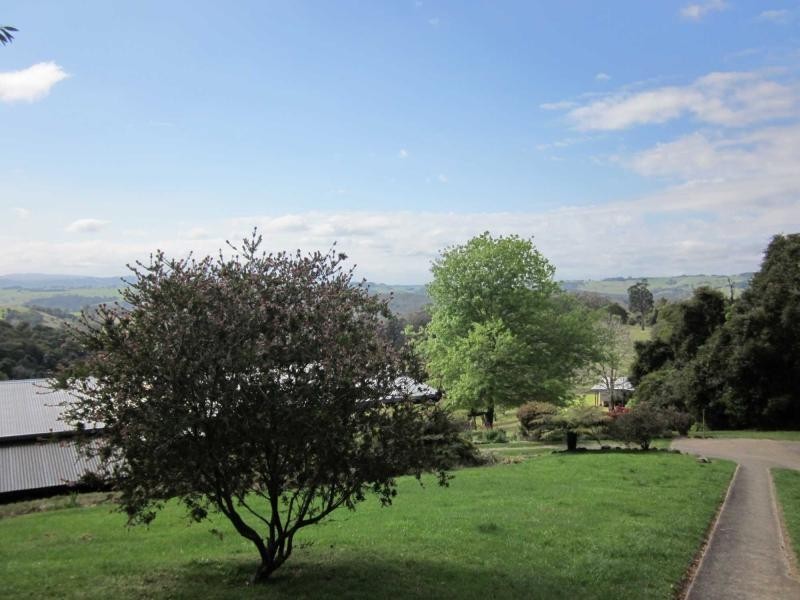 521 Muldiva Road, Dorrigo NSW 2453