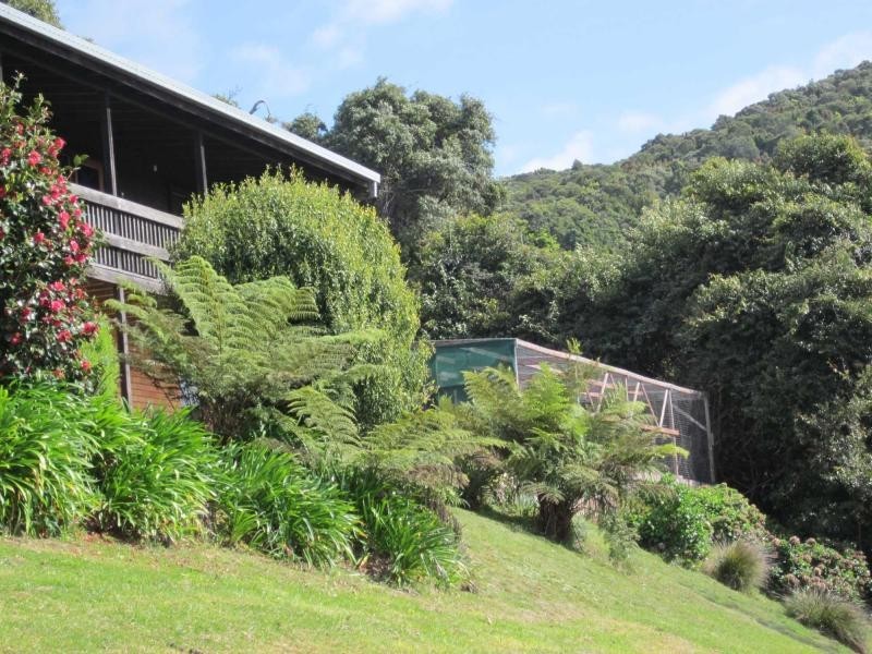 521 Muldiva Road, Dorrigo NSW 2453
