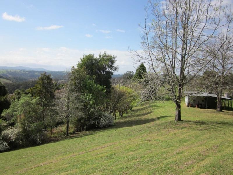 521 Muldiva Road, Dorrigo NSW 2453