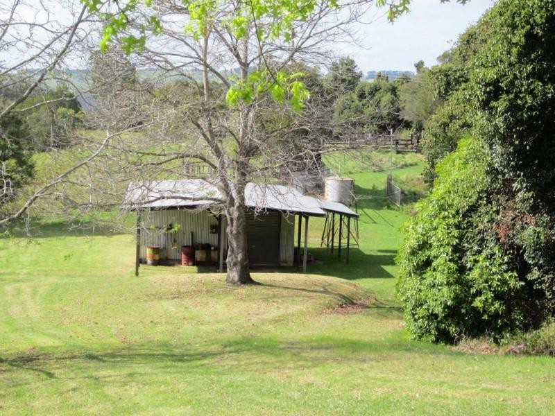 521 Muldiva Road, Dorrigo NSW 2453