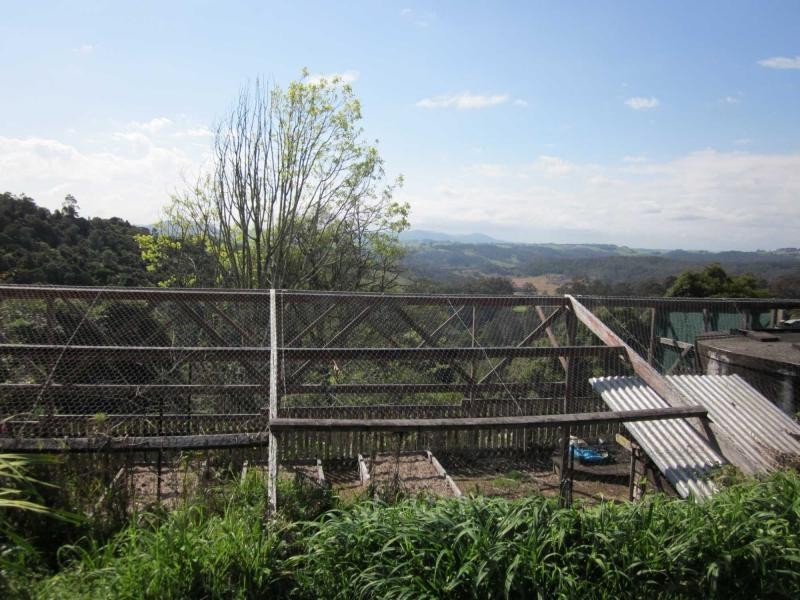 521 Muldiva Road, Dorrigo NSW 2453