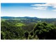 521 Muldiva Road, Dorrigo NSW 2453