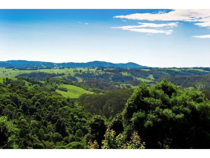 521 Muldiva Road, Dorrigo NSW 2453