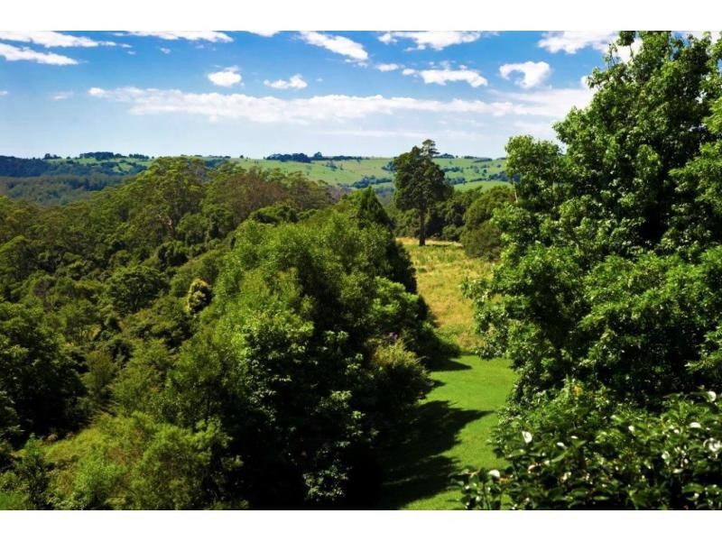 521 Muldiva Road, Dorrigo NSW 2453