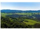 521 Muldiva Road, Dorrigo NSW 2453