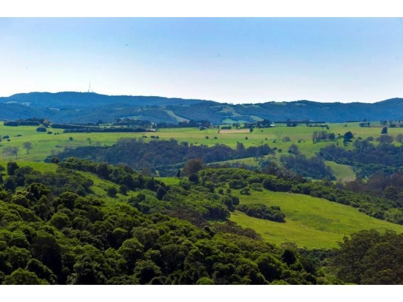 521 Muldiva Road, Dorrigo NSW 2453
