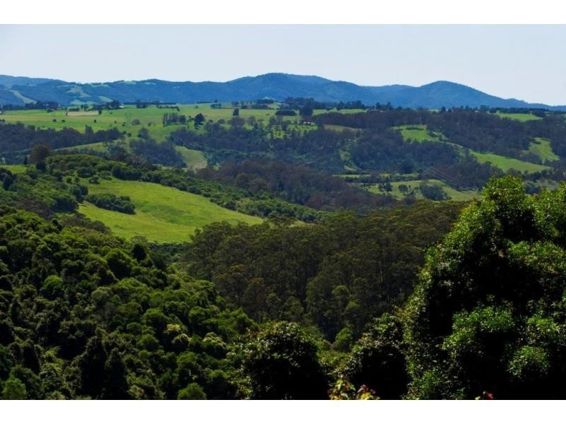 521 Muldiva Road, Dorrigo NSW 2453