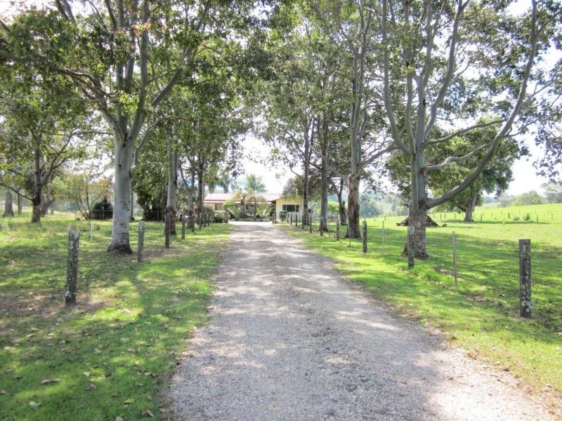 1550 Waterfall Way, Bellingen NSW 2454