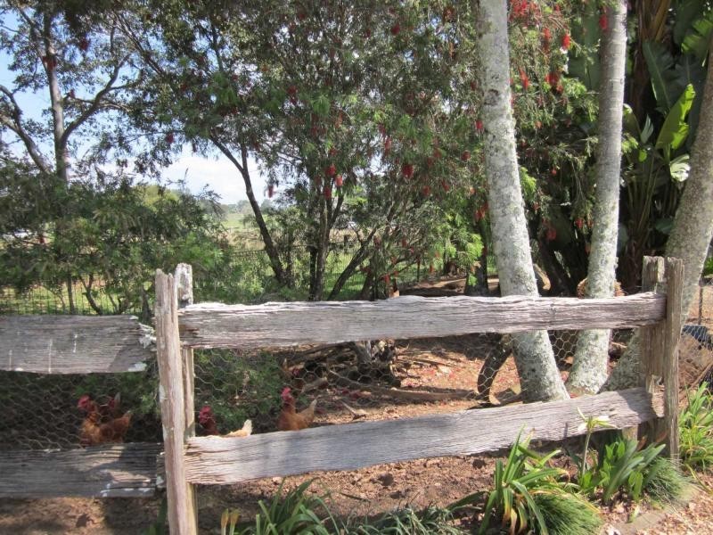 1550 Waterfall Way, Bellingen NSW 2454