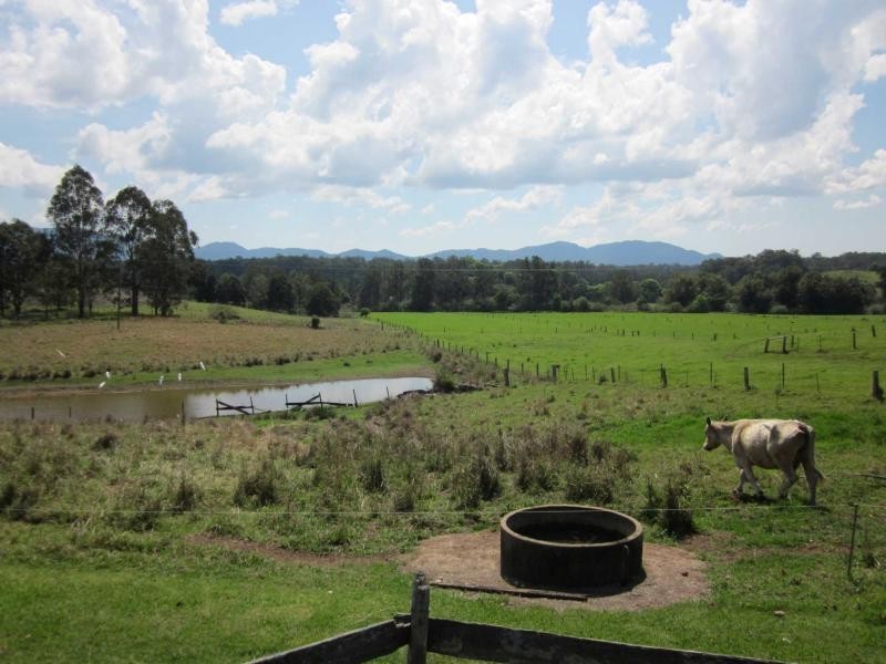 1550 Waterfall Way, Bellingen NSW 2454