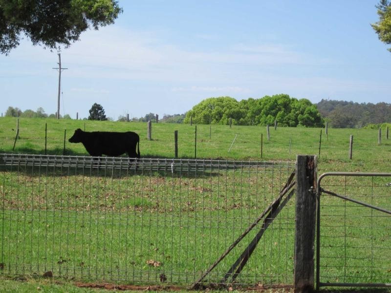 1550 Waterfall Way, Bellingen NSW 2454