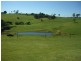 24 Kurrajong Street, Dorrigo NSW 2453