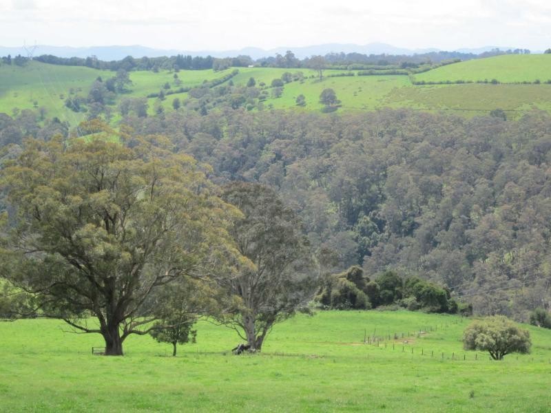 235 Beaumonts Road, Deer Vale NSW 2453