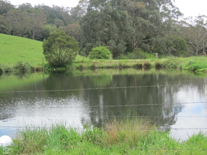 235 Beaumonts Road, Deer Vale NSW 2453