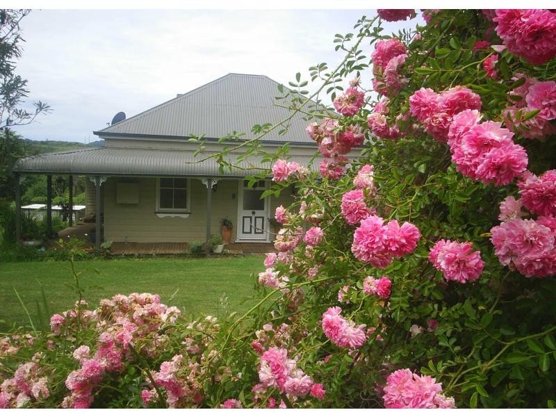 21 Vine Street, Dorrigo NSW 2453