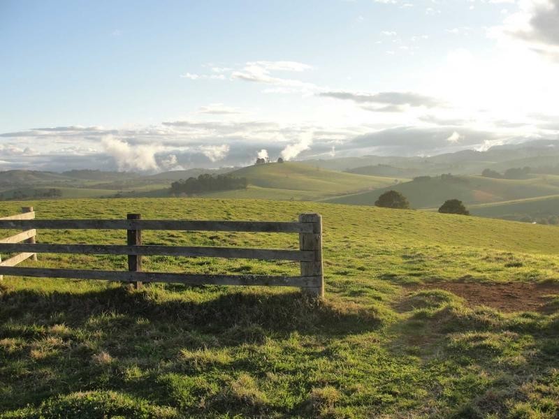 10 Rocky Creek Road, Dorrigo NSW 2453