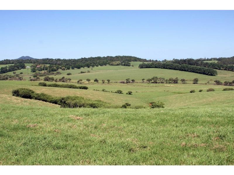 10 Rocky Creek Road, Dorrigo NSW 2453