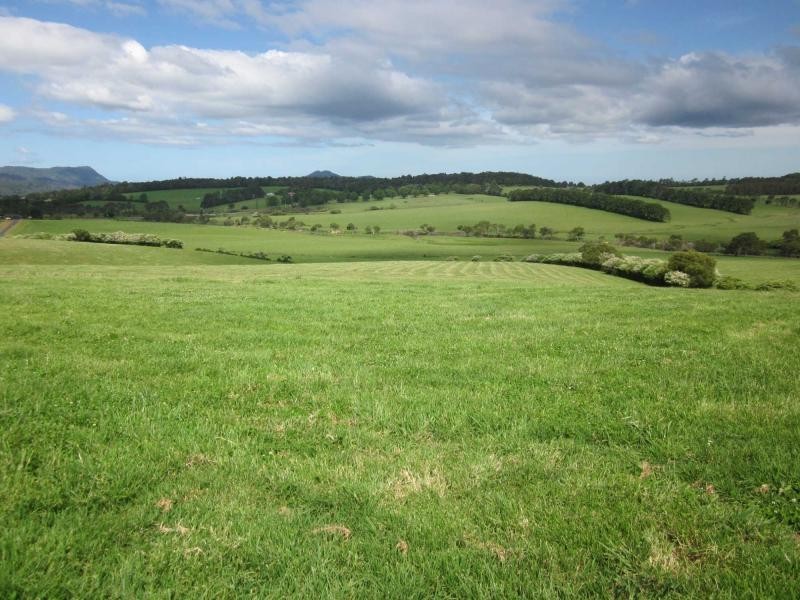 10 Rocky Creek Road, Dorrigo NSW 2453