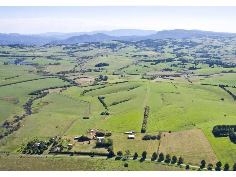 10 Rocky Creek Road, Dorrigo NSW 2453