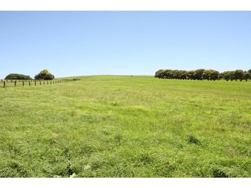 10 Rocky Creek Road, Dorrigo NSW 2453