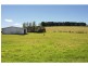 10 Rocky Creek Road, Dorrigo NSW 2453