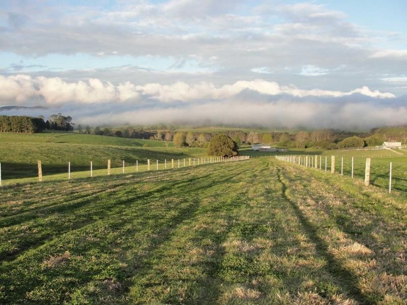 10 Rocky Creek Road, Dorrigo NSW 2453