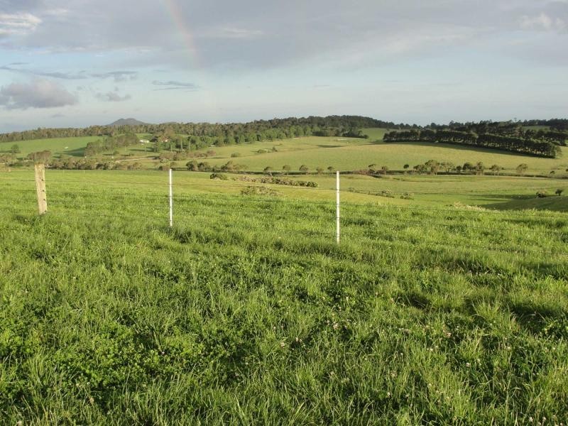 10 Rocky Creek Road, Dorrigo NSW 2453