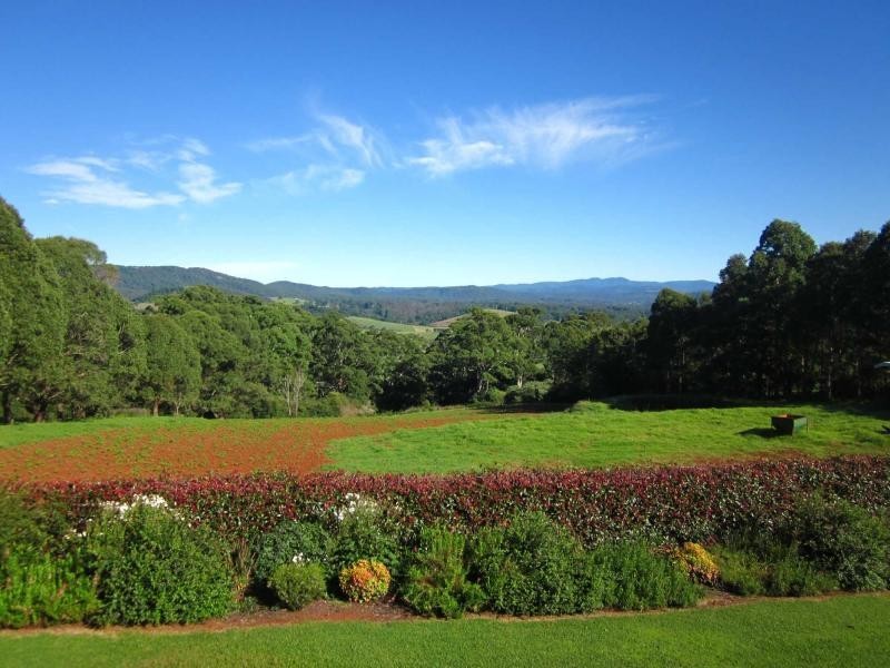 649 Old Coast Road, Dorrigo NSW 2453