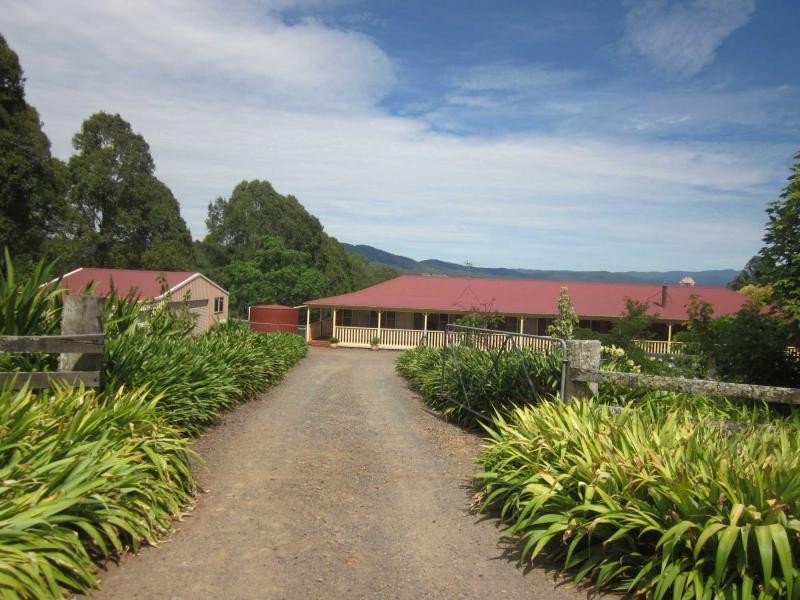 649 Old Coast Road, Dorrigo NSW 2453