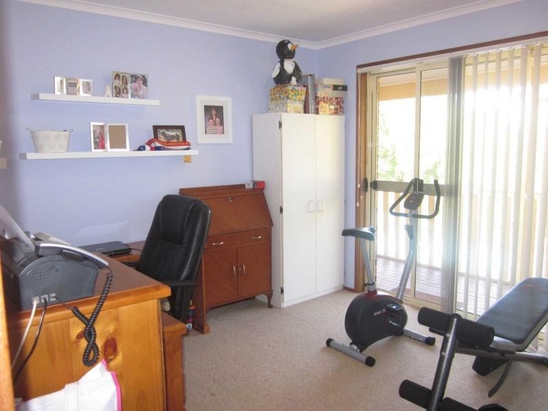 649 Old Coast Road, Dorrigo NSW 2453