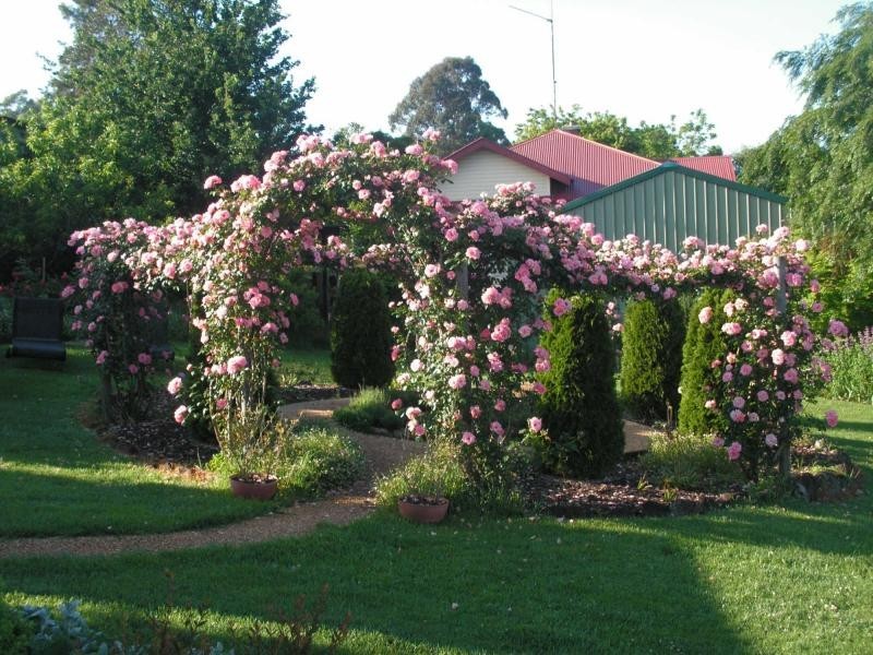 1 Tyringham Street, Dorrigo NSW 2453