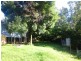 34 Mount Street, Dorrigo NSW 2453