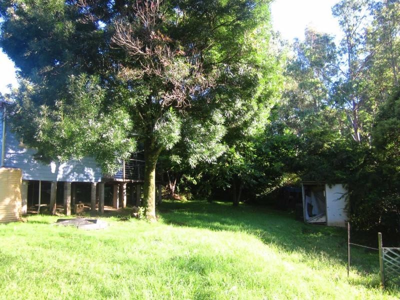 34 Mount Street, Dorrigo NSW 2453