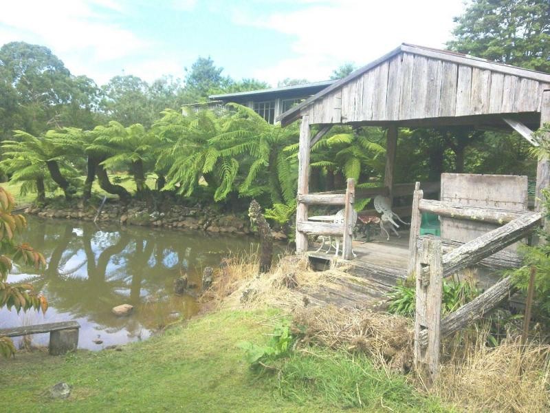 120 Beaumonts Road, Dorrigo NSW 2453