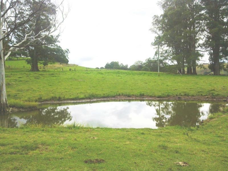 120 Beaumonts Road, Dorrigo NSW 2453