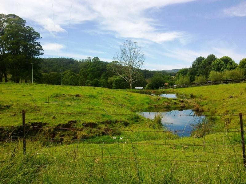 120 Beaumonts Road, Dorrigo NSW 2453