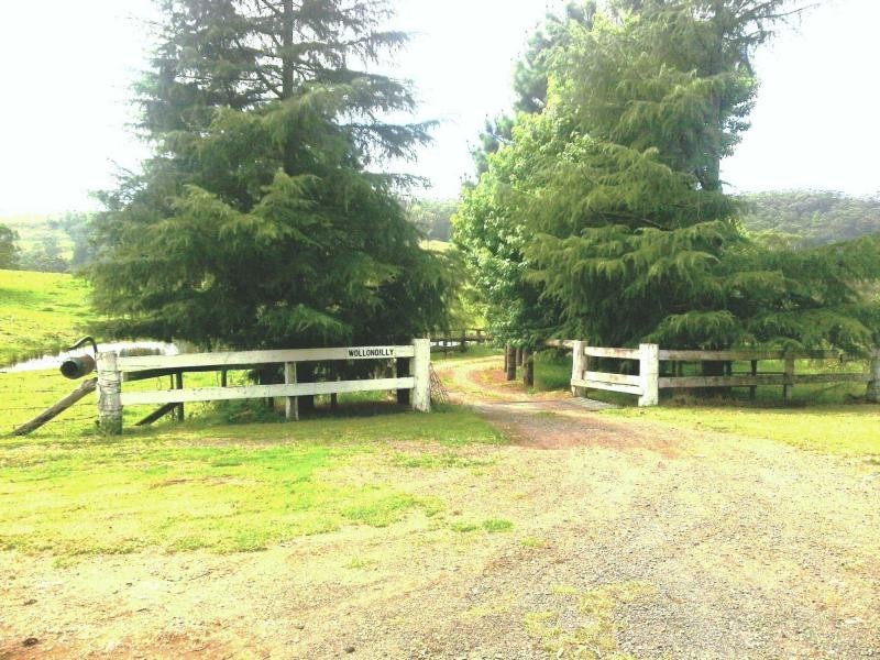 120 Beaumonts Road, Dorrigo NSW 2453