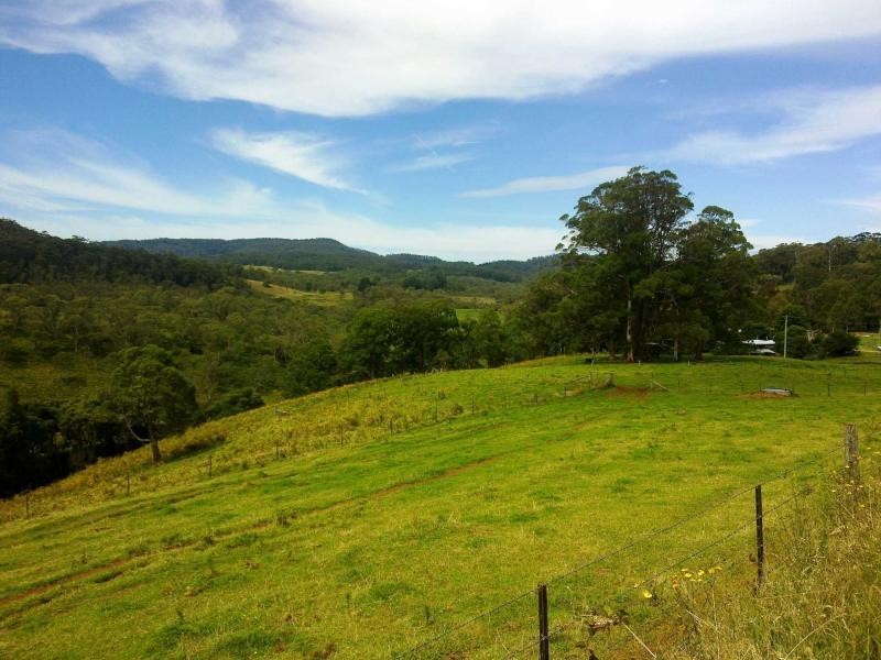 120 Beaumonts Road, Dorrigo NSW 2453