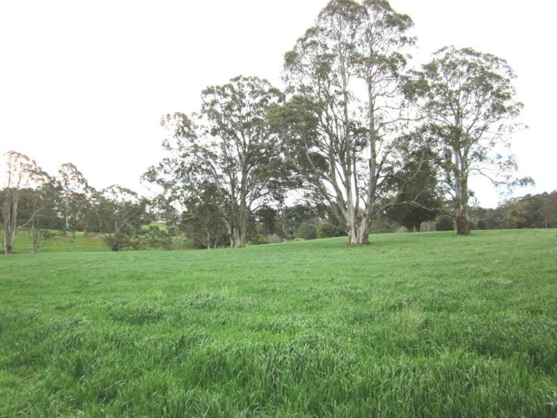 247 McIndoes Road, Deervale, Dorrigo NSW 2453