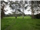 247 McIndoes Road, Deervale, Dorrigo NSW 2453