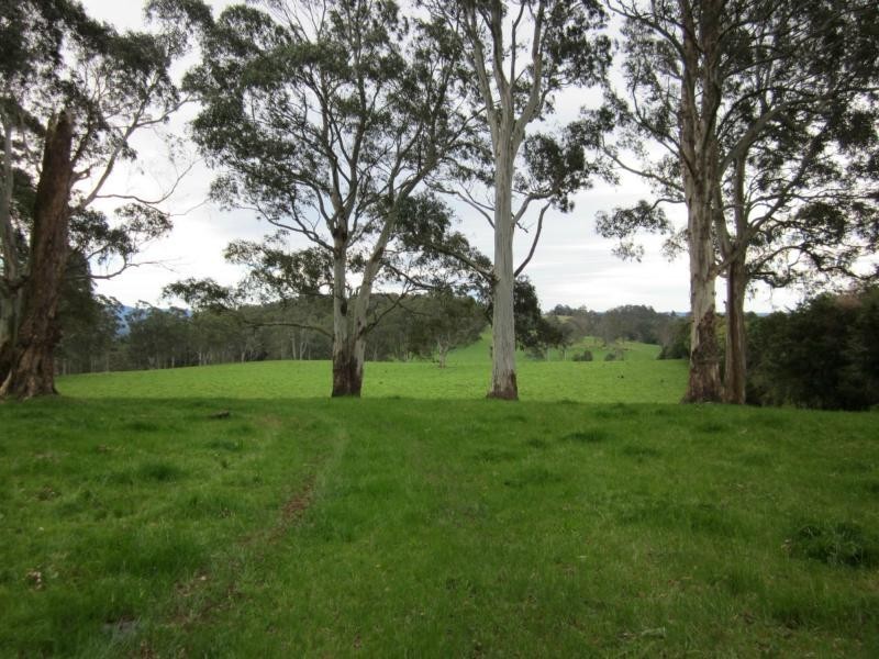 247 McIndoes Road, Deervale, Dorrigo NSW 2453
