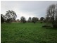 247 McIndoes Road, Deervale, Dorrigo NSW 2453