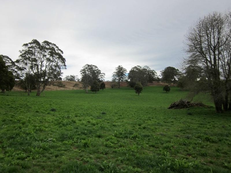 247 McIndoes Road, Deervale, Dorrigo NSW 2453