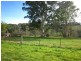 247 McIndoes Road, Deervale, Dorrigo NSW 2453