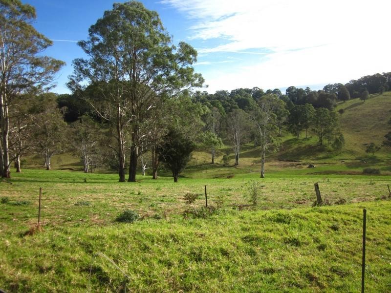 247 McIndoes Road, Deervale, Dorrigo NSW 2453