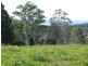 247 McIndoes Road, Deervale, Dorrigo NSW 2453
