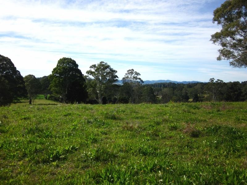 247 McIndoes Road, Deervale, Dorrigo NSW 2453