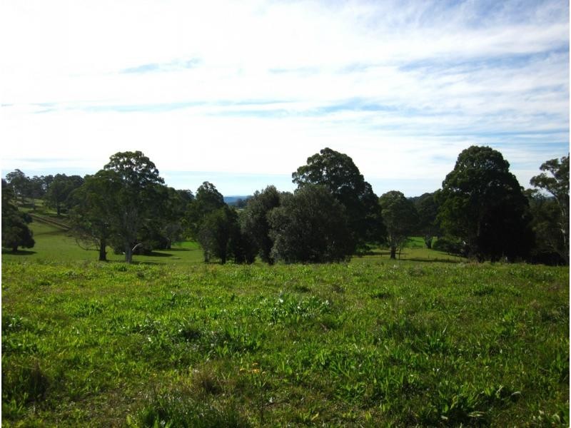 247 McIndoes Road, Deervale, Dorrigo NSW 2453