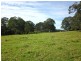 247 McIndoes Road, Deervale, Dorrigo NSW 2453